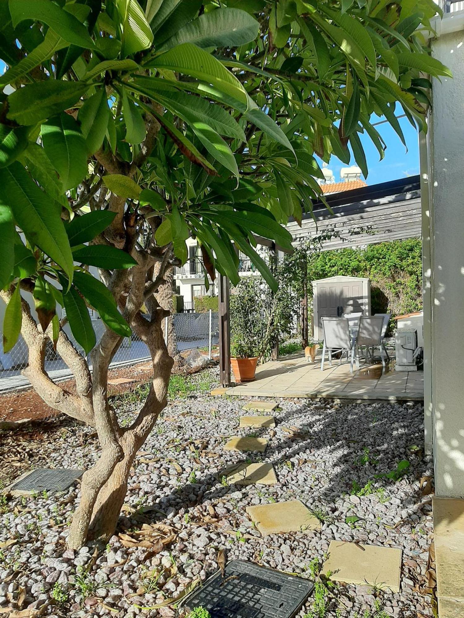 H&O Royal Townhouse In Center Paphos Apartment Exterior foto